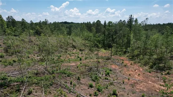 Dawsonville, GA 30534,00 Little MTN