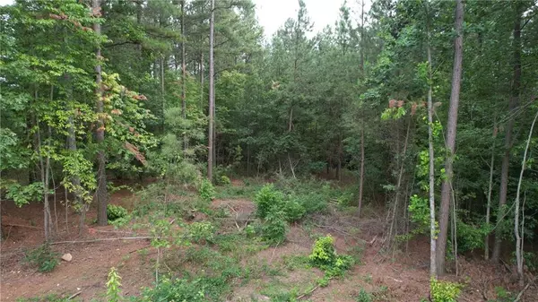 Dawsonville, GA 30534,00 Little MTN