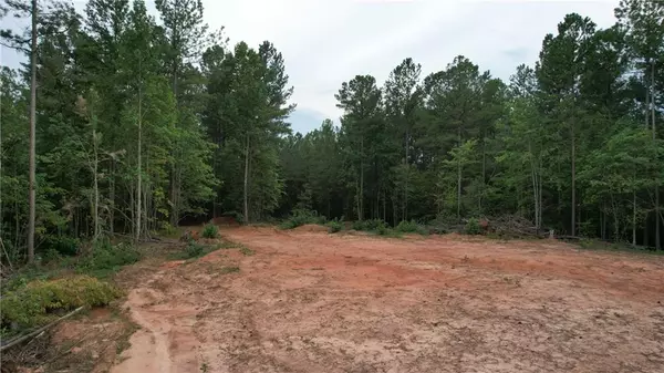 Dawsonville, GA 30534,00 Little MTN