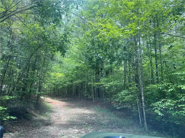 00 Tanner Hall RD, Dawsonville, GA 30534