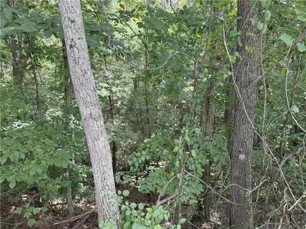 Dahlonega, GA 30533,00 Calhoun RD