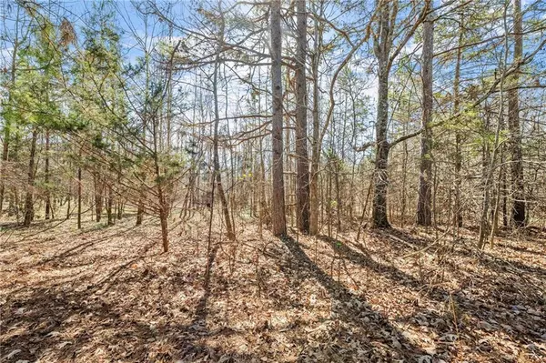 Jefferson, GA 30549,4 W Farm RD