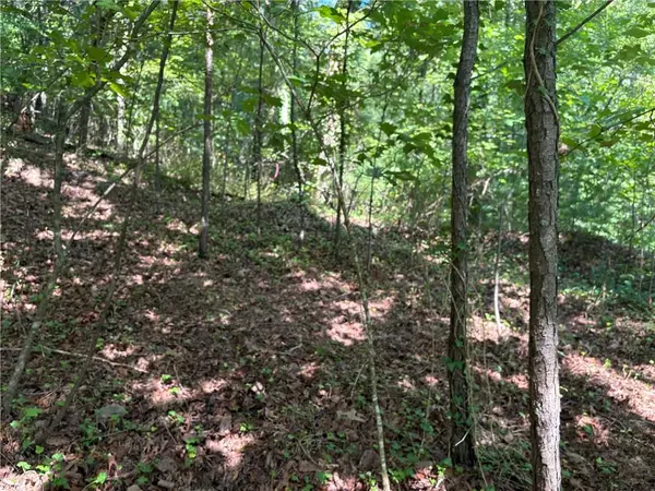 Jasper, GA 30143,1169 Upper Salem Church RD