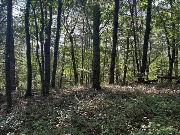 Jasper, GA 30143,1169 Upper Salem Church RD