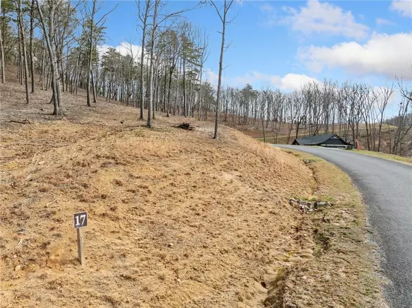 Talking Rock, GA 30175,Lot 17 High Summit DR