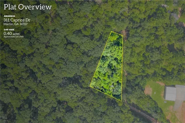 311 Caprice DR, Martin, GA 30557