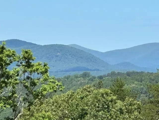 Dahlonega, GA 30533,1040 Bear Paw RDG