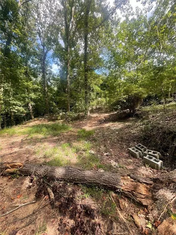 Toccoa, GA 30577,0 Blue jay PL