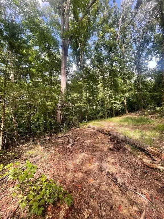 Toccoa, GA 30577,0 Blue jay PL