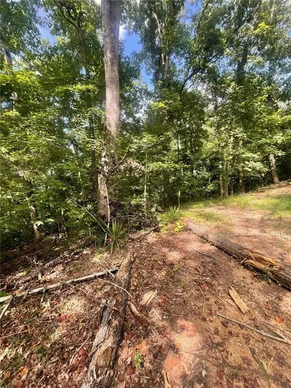 Toccoa, GA 30577,0 Blue jay PL