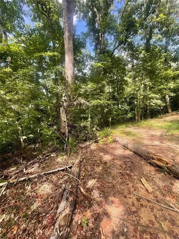 Toccoa, GA 30577,0 Blue jay PL