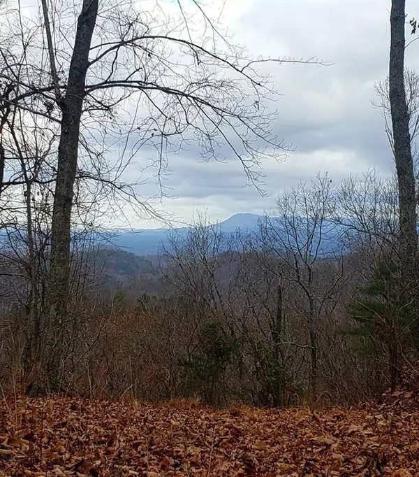 Ranger, GA 30734,689 Railey RDG NE