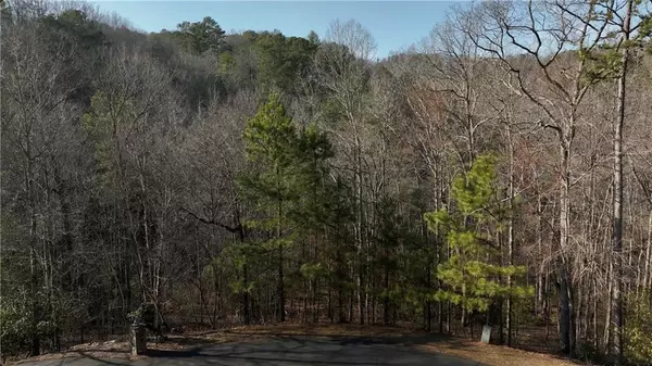 Ellijay, GA 30540,0 Tumbling Waters WAY