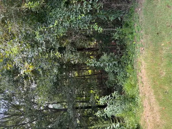 Bethlehem, GA 30620,2412 SNOWSHOE BND