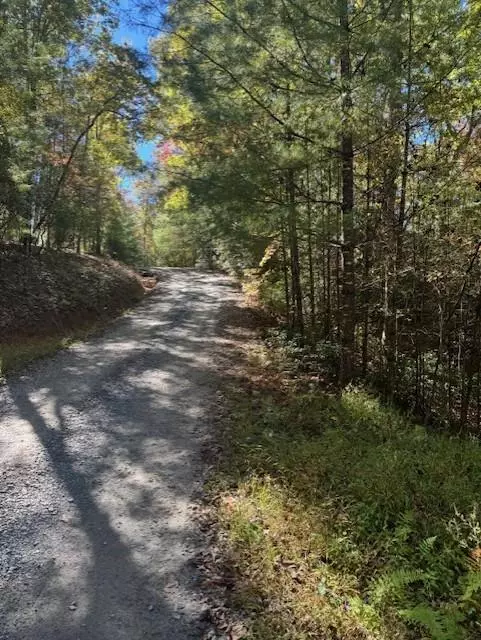 0 Hillbilly HOLW, Blue Ridge, GA 30513
