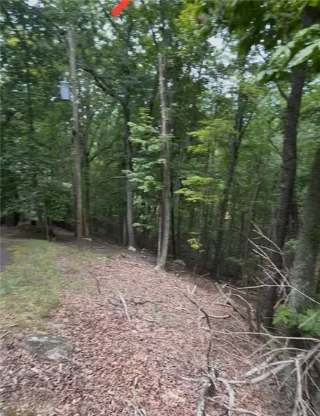 110 Siddiqui Court, Waleska, GA 30183