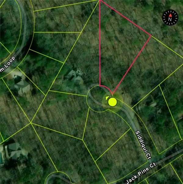 Waleska, GA 30183,110 Siddiqui Court