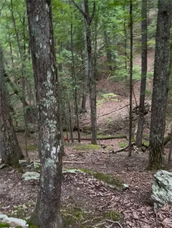 Waleska, GA 30183,110 Siddiqui Court