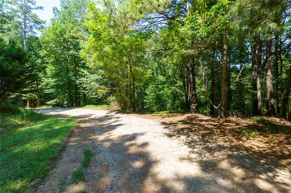 Waleska, GA 30183,150 Waleska Woods CT