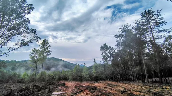 Jasper, GA 30143,0 Hawthorne Hill RD