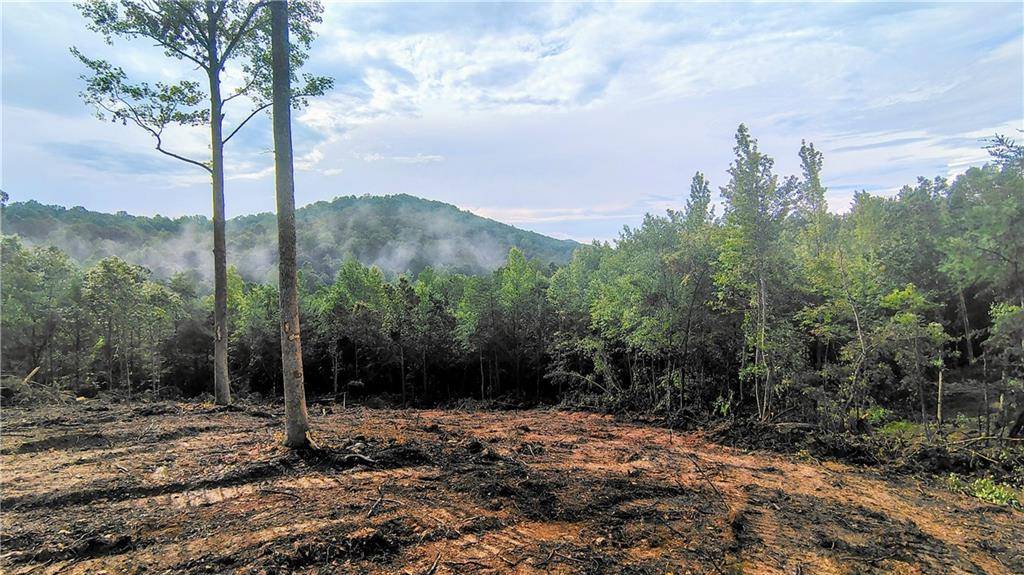 0 Hawthorne Hill RD, Jasper, GA 30143