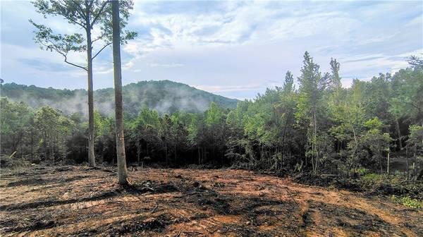 0 Hawthorne Hill RD, Jasper, GA 30143