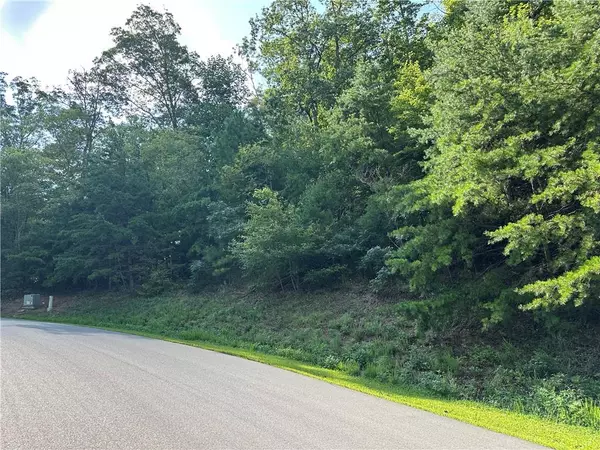 Ellijay, GA 30536,257 Andes RDG