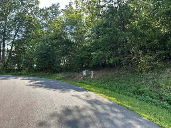 Ellijay, GA 30536,257 Andes RDG