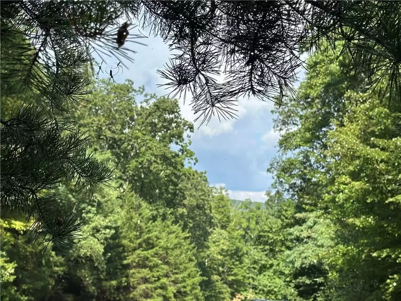 257 Andes RDG, Ellijay, GA 30536