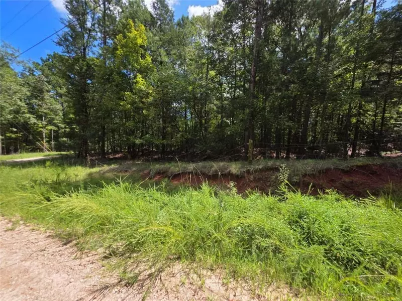 00 Tim Prince DR, Elberton, GA 30635