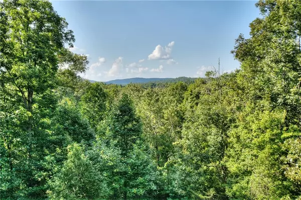 Blue Ridge, GA 30513,482 N Old Aska RD