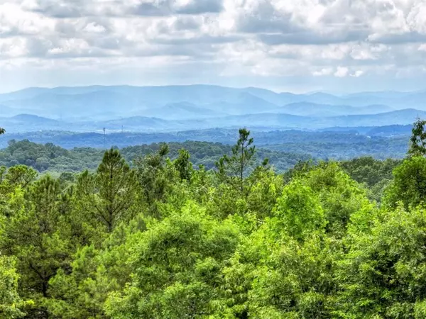 Morganton, GA 30560,458 Blue Berry RDG