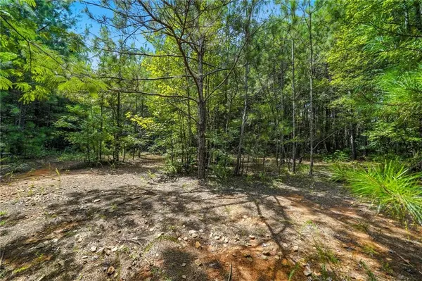 Powder Springs, GA 30127,00 Sleepy Hollow DR