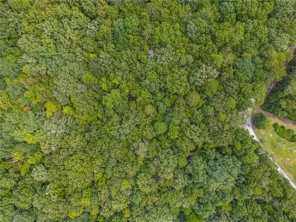 Jasper, GA 30143,0 Lakeview Rd