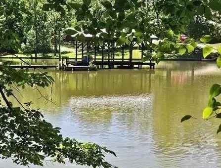 LOT 68 County Road 608, Cedar Bluff, AL 35959