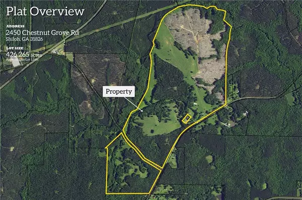 Shiloh, GA 31826,2450 Chestnut Grove RD