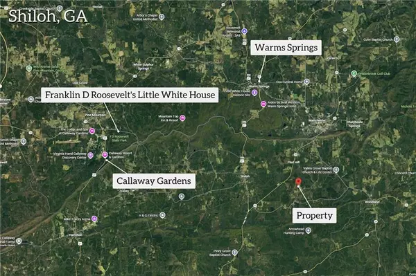 Shiloh, GA 31826,2450 Chestnut Grove RD