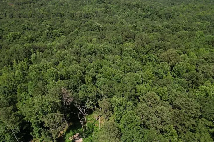 300 SPEIGHT RD, Temple, GA 30179