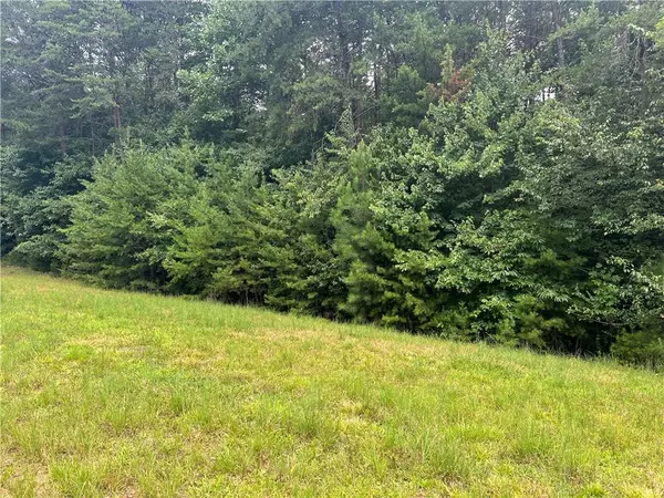 Cornelia, GA 30531,450 Beachwood DR