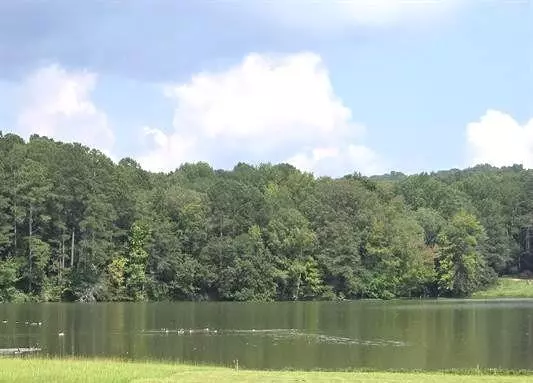 Cedar Bluff, AL 35959,LOT 13 County Road 92
