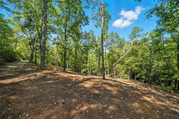 Waleska, GA 30183,0 Debord DR