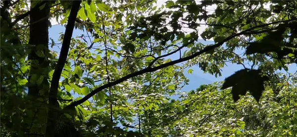 Lot 17 Abbott Mill RD, Ellijay, GA 30540