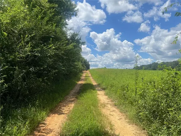 Calhoun, GA 30701,lot 4 Lovebridge Rd