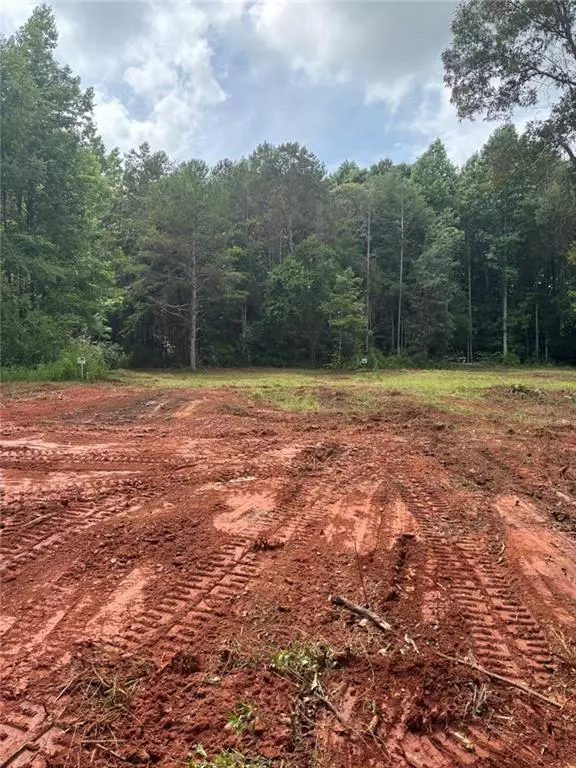 Homer, GA 30547,885 Christmas Tree RD