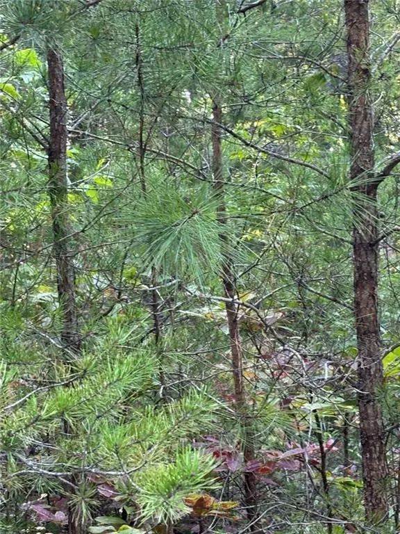Rockmart, GA 30153,0 Lot 18 Skyline Drive