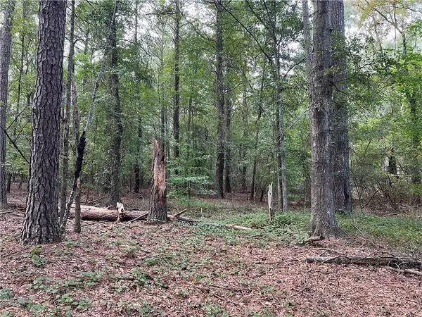 Loganville, GA 30052,4085 Hogans Mill LN