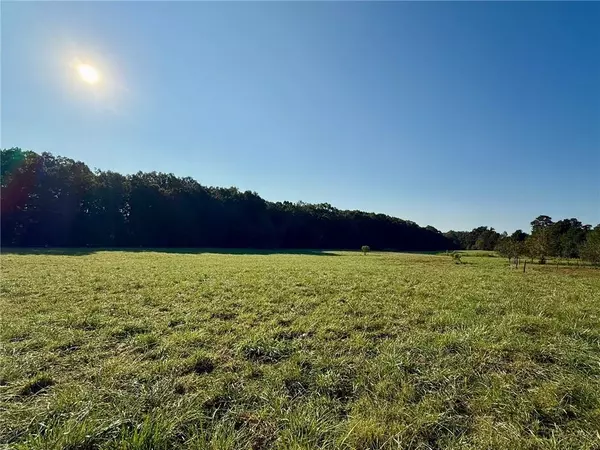 Resaca, GA 30735,156 Nesbitt LOOP NE