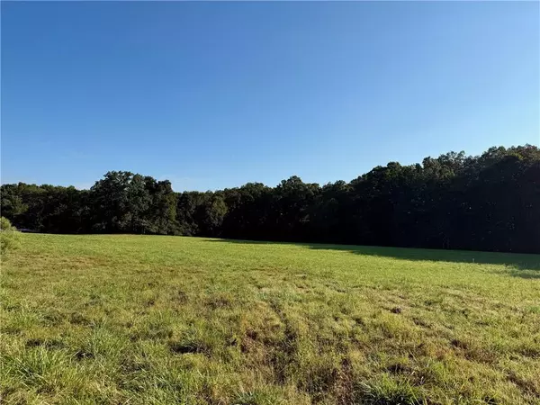 Resaca, GA 30735,156 Nesbitt LOOP NE