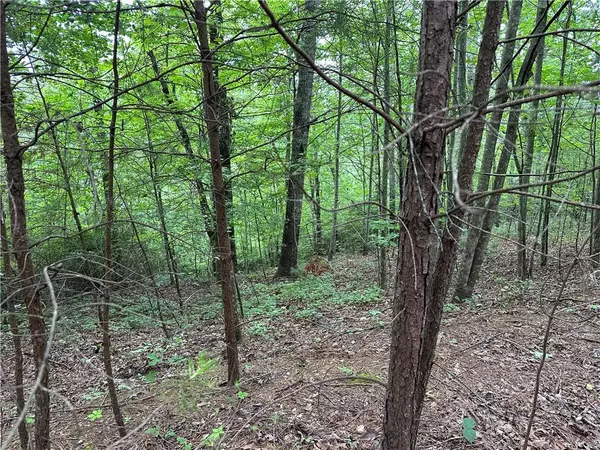 Ranger, GA 30734,585 Galaxy WAY