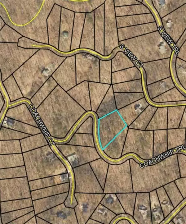 Jasper, GA 30143,LT1321 Coachwhip TRL